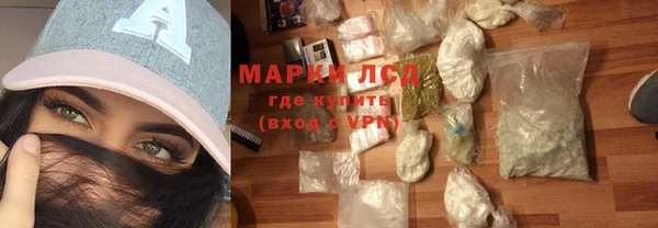 ГАЛЛЮЦИНОГЕННЫЕ ГРИБЫ Инсар