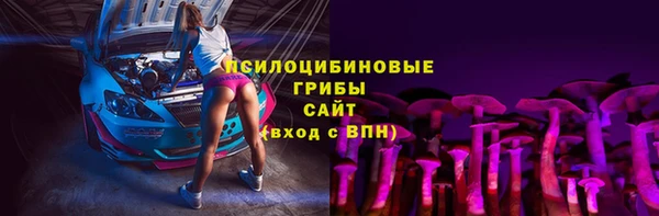 кристаллы Инта