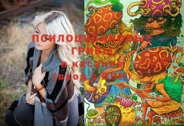ГАЛЛЮЦИНОГЕННЫЕ ГРИБЫ Инсар