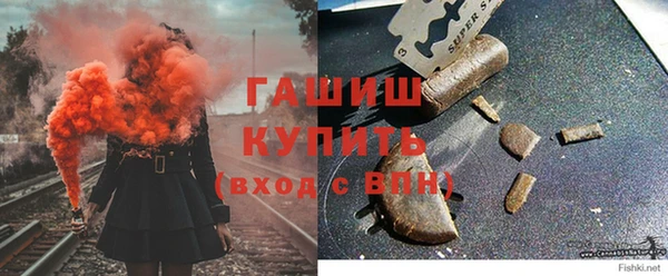 ГАЛЛЮЦИНОГЕННЫЕ ГРИБЫ Инсар