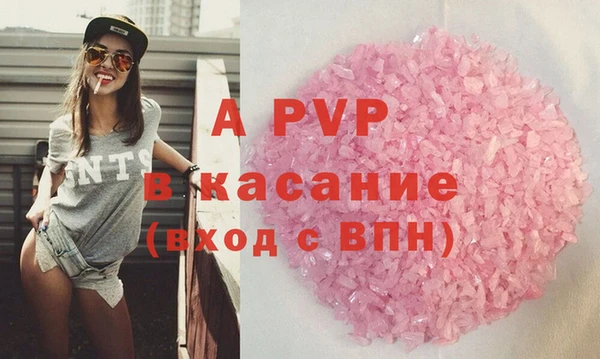 ГАЛЛЮЦИНОГЕННЫЕ ГРИБЫ Инсар