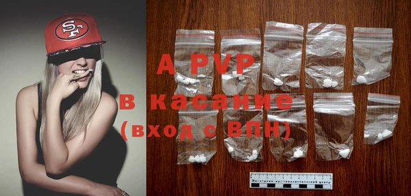 ГАЛЛЮЦИНОГЕННЫЕ ГРИБЫ Инсар