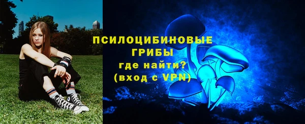 кристаллы Инта