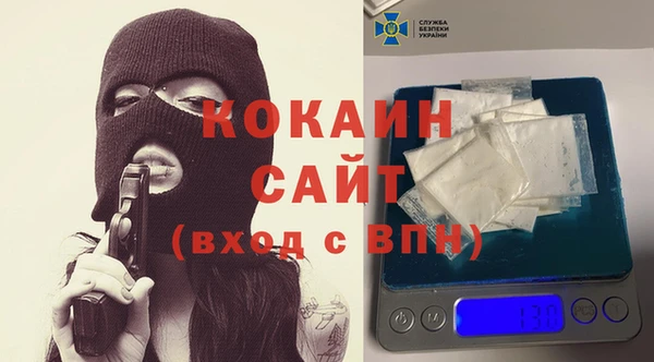 ГАЛЛЮЦИНОГЕННЫЕ ГРИБЫ Инсар