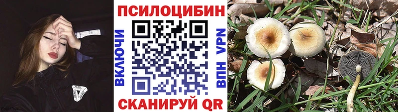 Псилоцибиновые грибы мухоморы  Купить  Дмитровск 